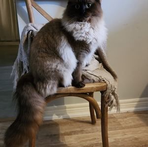 Meet your Posher, Elaine